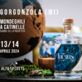 Alfa Spirits alla 1^ Sagra della Polpetta di Gorgonzola (MI)